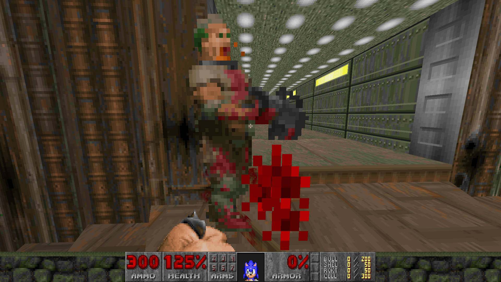 Sonic the Hedgehog in DOOM version v0.2, showcasing the Drift